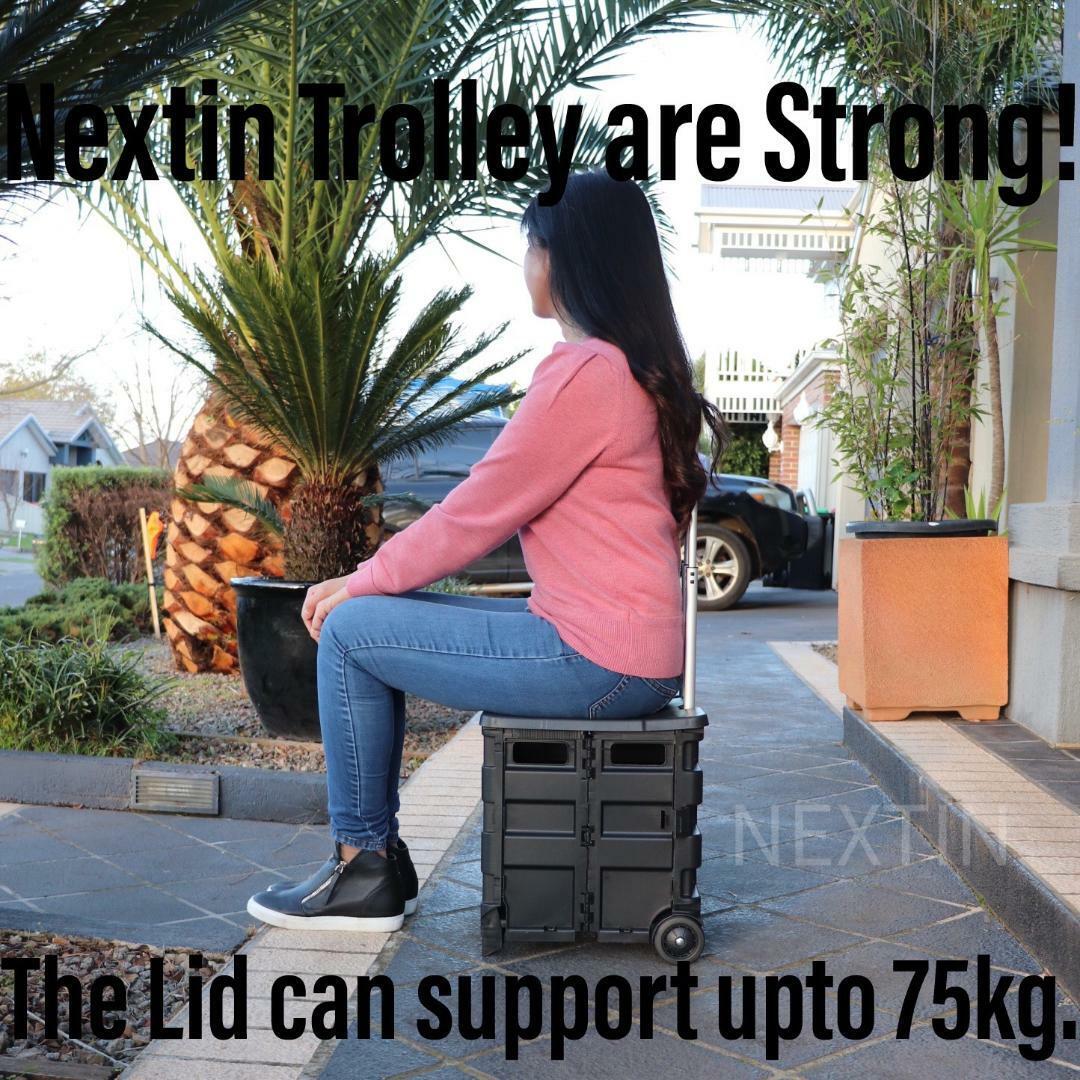 Foldable Shopping Trolley Box Portable Plastic Folding Grocery Cart with Lid