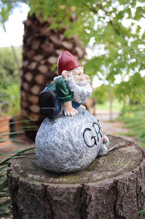 Garden Gnomes Statue Gnome on Rock with Word Grow Fairy Garden Décor Figurine