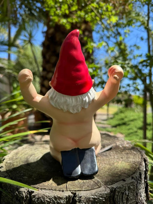 Garden Gnome Kneeling Naked Nude Gnomes Naughty Garden Ornament Kneel Down Red