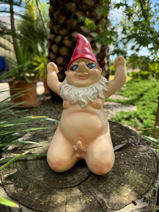 Garden Gnome Kneeling Naked Nude Gnomes Naughty Garden Ornament Kneel Down Red