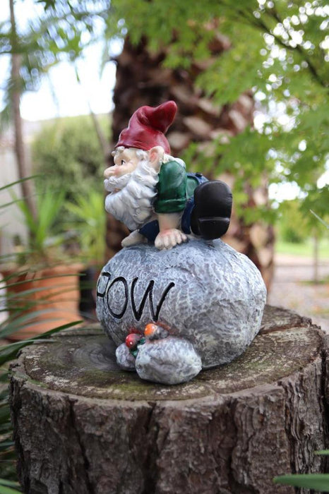 Garden Gnomes Statue Gnome on Rock with Word Grow Fairy Garden Décor Figurine