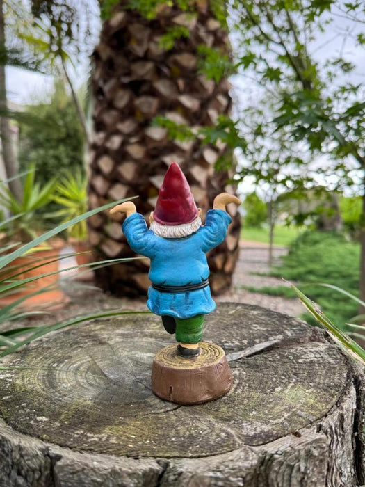 Garden Gnomes Statue Kung Fu Gnome Crazy Funny Gnome Garden Décor Ornament 14cm