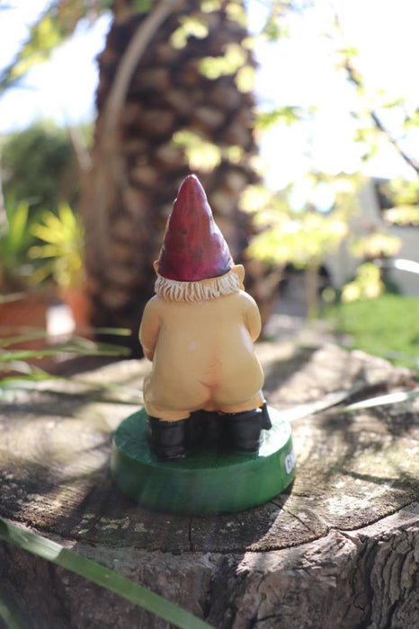 Garden Gnome Naked Nude Gnomes Couple Funny Naughty Gnome Garden Ornament