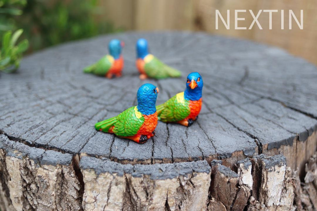 Miniature Bird Decorative Figurines Mini Rainbow lorikeet Birds Fairy Garden 6pc