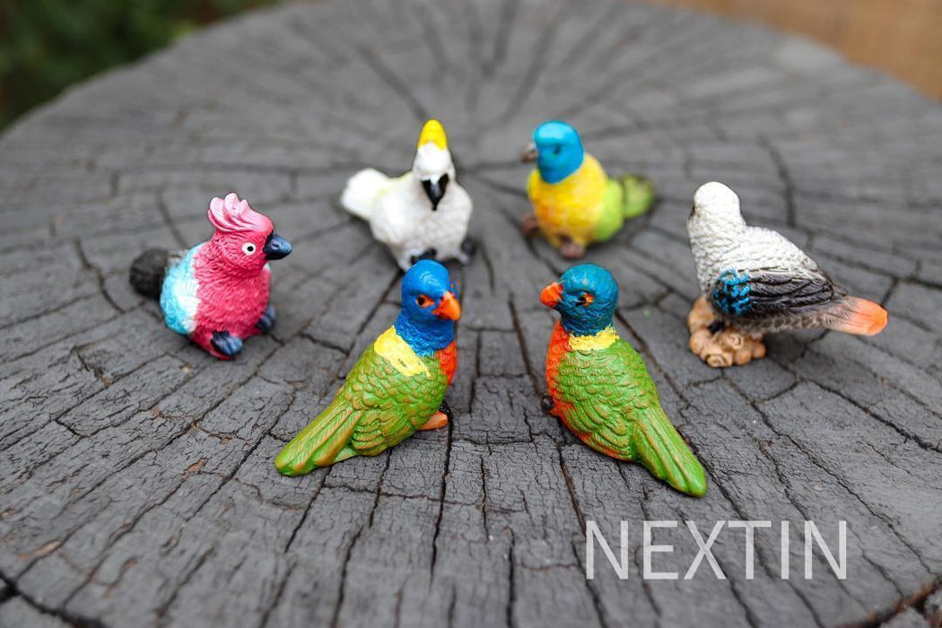 Miniature Bird Decorative Figurines Mini Rainbow lorikeet Birds Fairy Garden 6pc