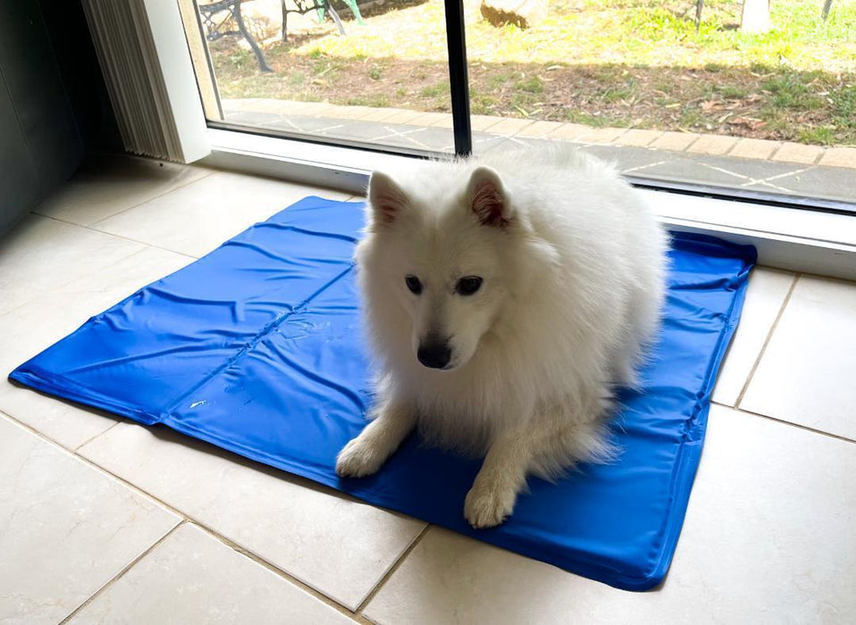 Jumbo Cooling Pet Mat For Dog Cat Pets Non Toxic Cool Gel Pad Summer Bed 75x95cm