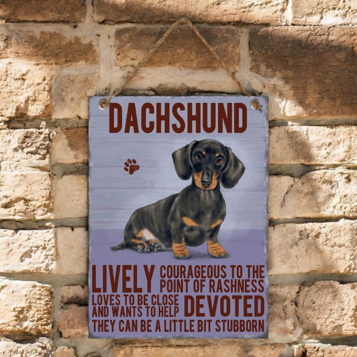 Dachshund Dog Sign Metal Wall Door Hanging Dogs Sign Colourful Home Decor 27cm