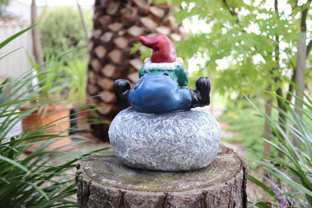 Garden Gnomes Statue Gnome on Rock with Word Grow Fairy Garden Décor Figurine