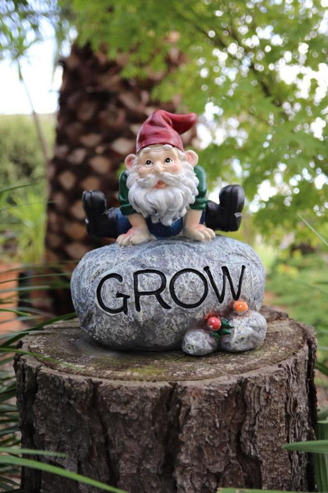 Garden Gnomes Statue Gnome on Rock with Word Grow Fairy Garden Décor Figurine