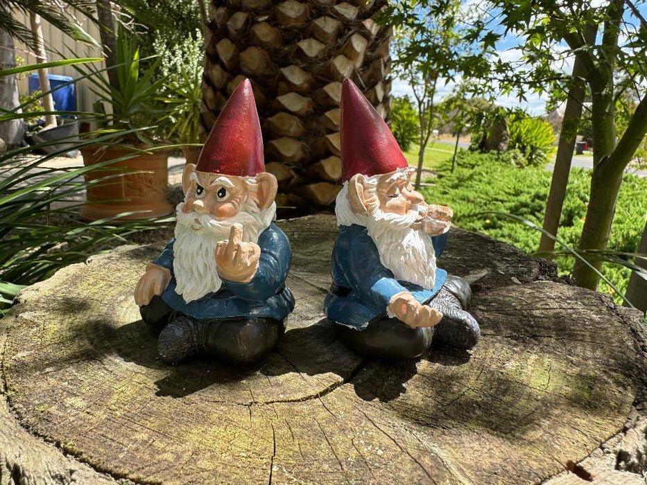 Garden Gnome Rude Finger & Smoking Gnome Set of 2 Funny Hilarious Gnomes 9.5cm