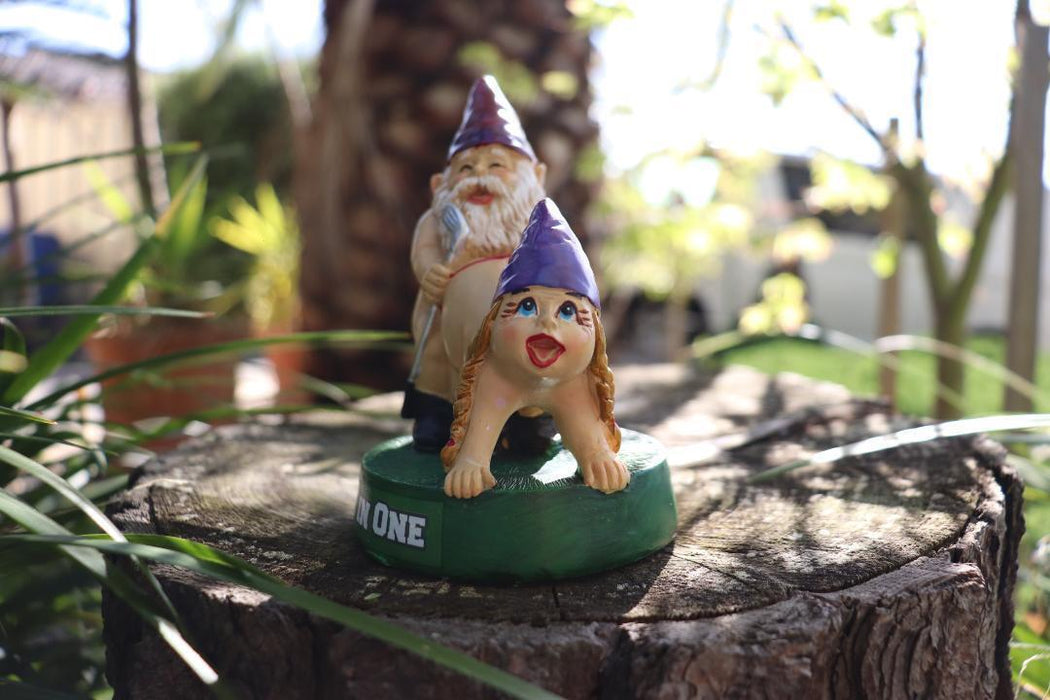 Garden Gnome Naked Nude Gnomes Couple Funny Naughty Gnome Garden Ornament