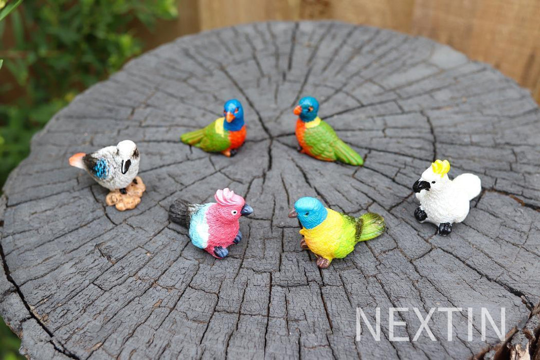 Miniature Bird Decorative Figurines Mini Rainbow lorikeet Birds Fairy Garden 6pc