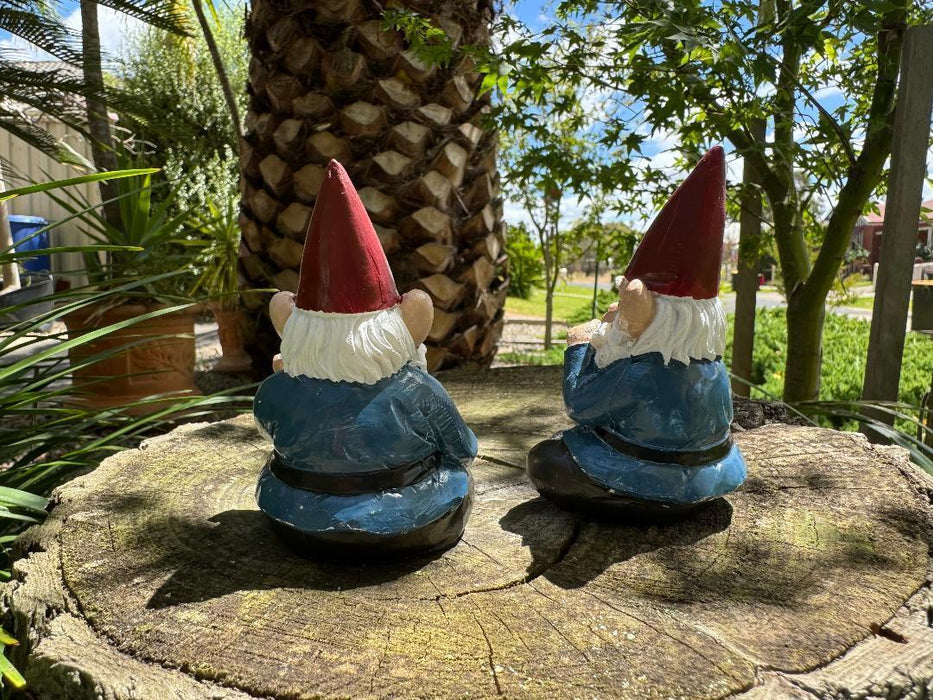 Garden Gnome Rude Finger & Smoking Gnome Set of 2 Funny Hilarious Gnomes 9.5cm