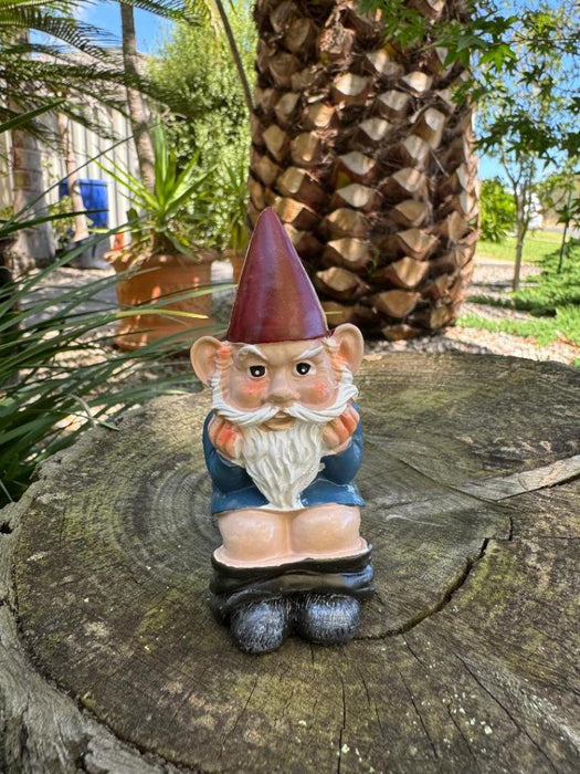 Garden Gnome Naked Nude Gnomes on Toilet Naughty Garden Ornament 10cm