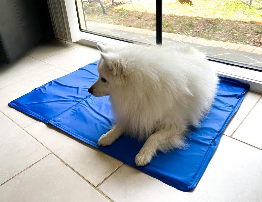 Jumbo Cooling Pet Mat For Dog Cat Pets Non Toxic Cool Gel Pad Summer Bed 75x95cm