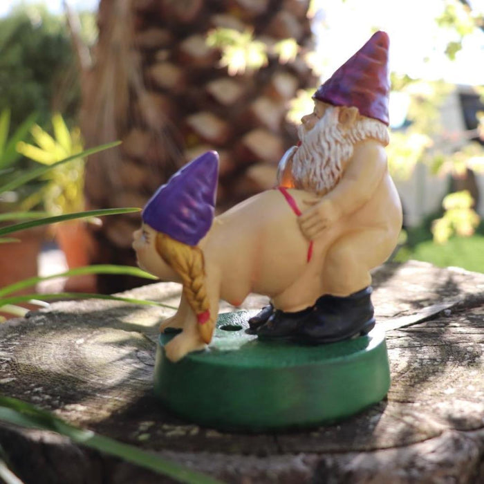 Garden Gnome Naked Nude Gnomes Couple Funny Naughty Gnome Garden Ornament