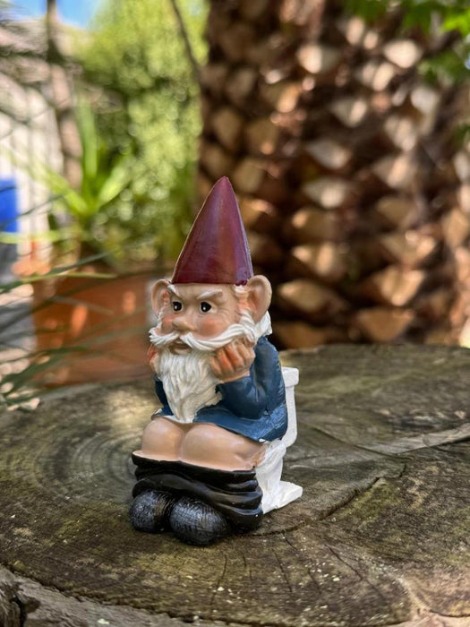 Garden Gnome Naked Nude Gnomes on Toilet Naughty Garden Ornament 10cm