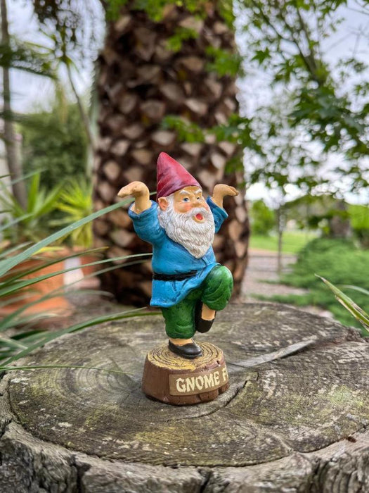 Garden Gnomes Statue Kung Fu Gnome Crazy Funny Gnome Garden Décor Ornament 14cm