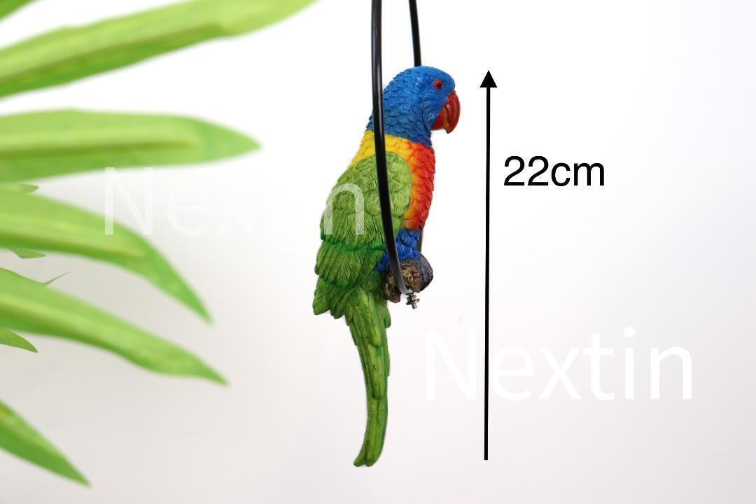 Rainbow Lorikeet Bird in Ring Figurine Statue Yard Garden Ornaments Decor 22cm