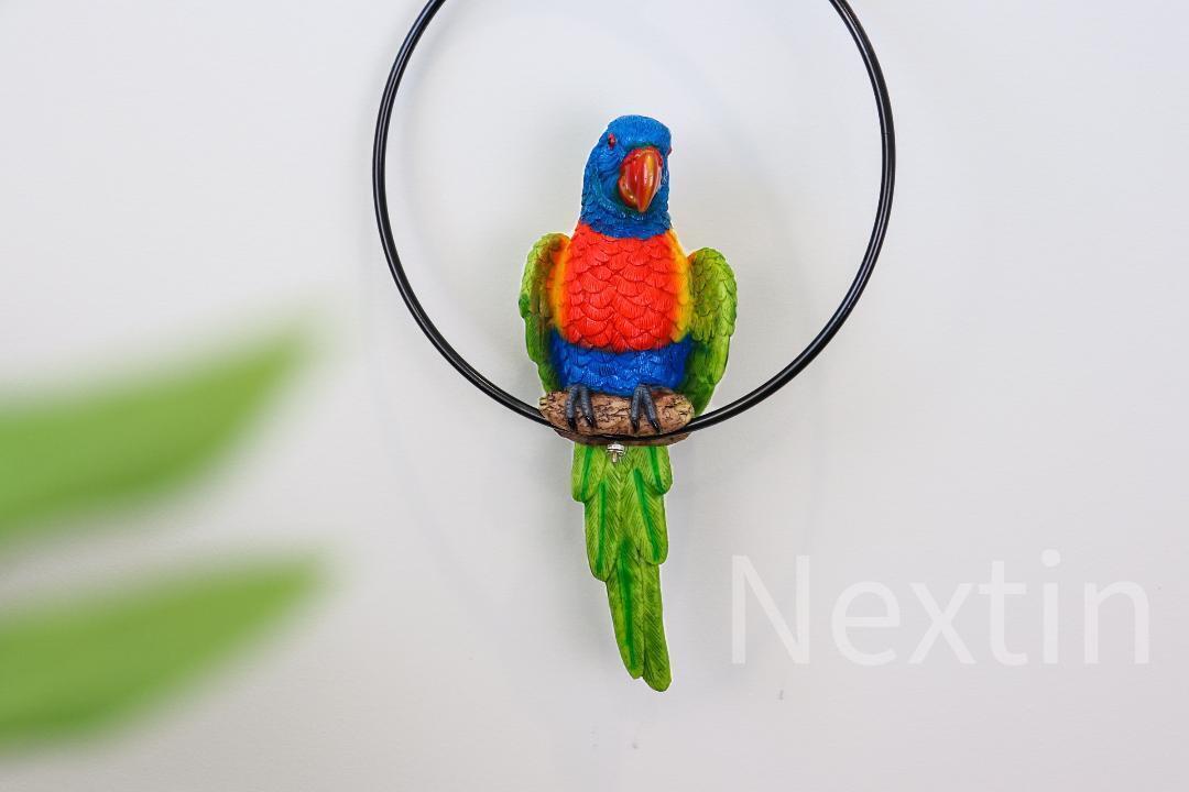 Rainbow Lorikeet Bird in Ring Figurine Statue Yard Garden Ornaments Decor 22cm
