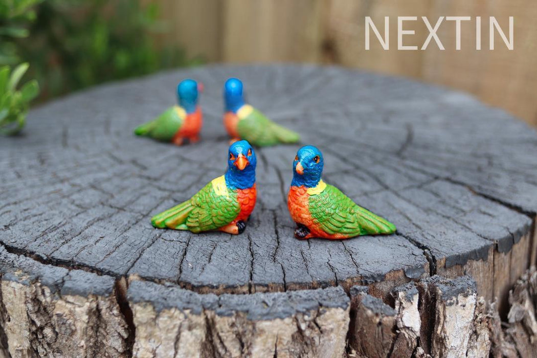 Miniature Bird Decorative Figurines Mini Rainbow lorikeet Birds Fairy Garden 6pc