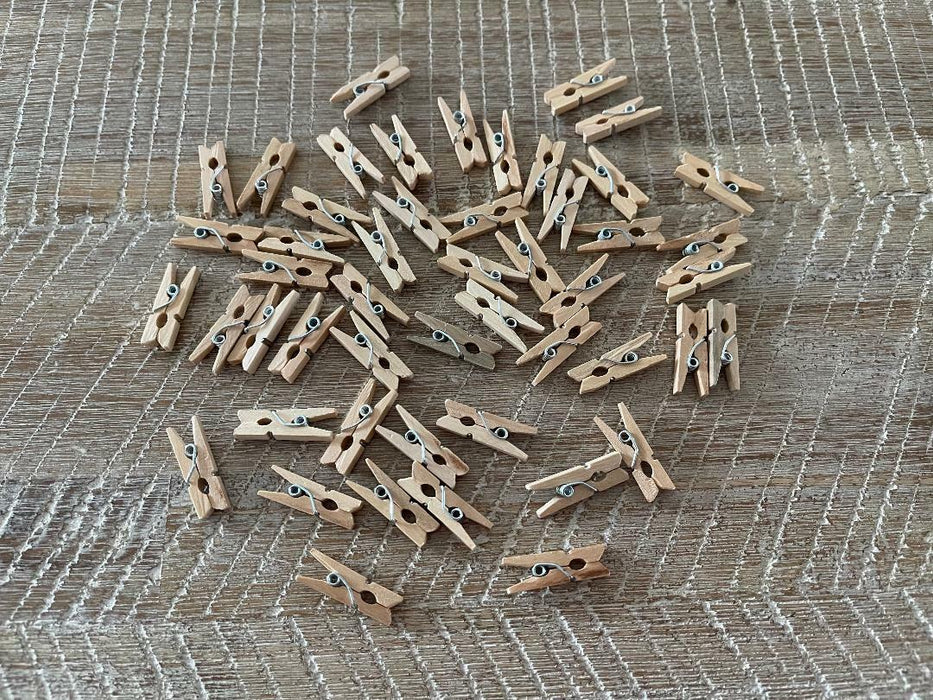 Mini Wooden Pegs Craft Clothespins Natural Wood Photo Clips 2.5cm Bulk 1000pc