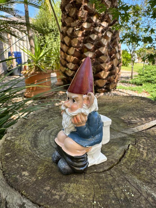 Garden Gnome Naked Nude Gnomes on Toilet Naughty Garden Ornament 10cm