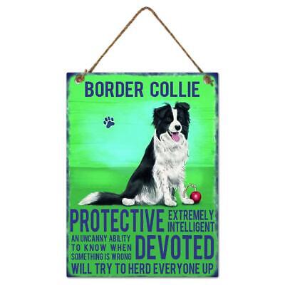 Border Collie Dog Sign Metal Wall Hanging Dogs Sign Colourful Home Decor 27cm