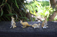 Miniature Kangaroo Figurines Australian Wildlife Animal Mini Animals Pack of 4