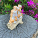 Meerkat Satue Meerkats Welcome Sign Garden Decor Sculptures Outdoor Figurine