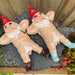 Garden Gnome Naked Nude Gnomes Naughty Laying Down Garden Ornament Statue 25cm