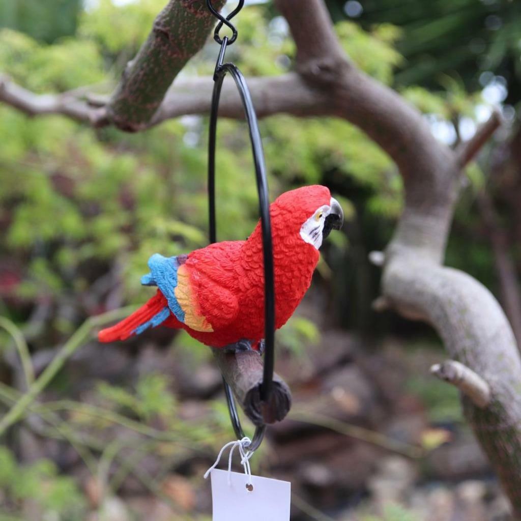 Parrot Lorikeet Bird in Ring Birds Figurine Statue Yard Garden Ornaments Decor