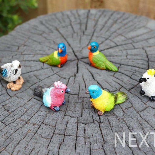 Miniature Birds Figurines Mini Australian Bird Rainbow lorikeet Fairy Garden 6pc