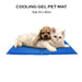 Pet Dog Cooling Gel Mat Cat Non Toxic Cool Pad Pets Summer Bed 30 x40 cm