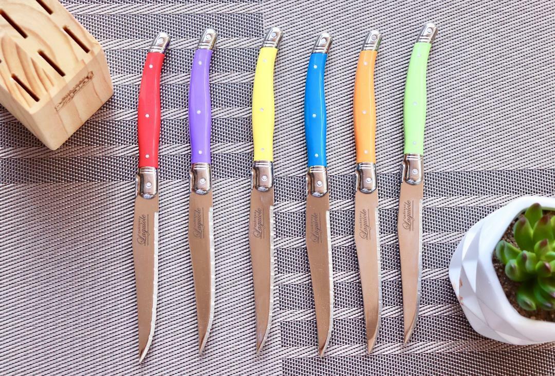Chateau Laguiole Cutlery Set & Steak Knife Stainless Steel Dinner Multicolor