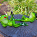 Frog Statue Ornament Celebrity Selfie Frogs Figurines Funny Garden Home 2pc Set