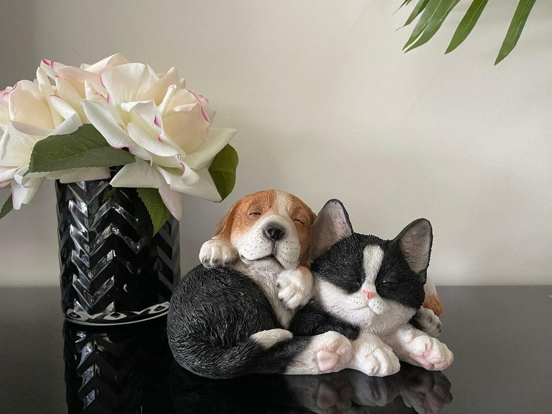 Cute Sleeping Cat & Dog Snuggling Besties Figurine Home Decor Ornament Statue