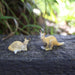 Miniature Kangaroo Figurines Australian Wildlife Animal Mini Animals Pack of 4