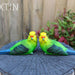 Budgie Parrot Bird Figurine Parakeet Birds Statue Garden Ornament Decor 2/4pcSet