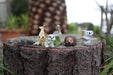 Miniature Australian Wildlife Animal Figurines Mini Animals 6pcs Koala Kangaroo