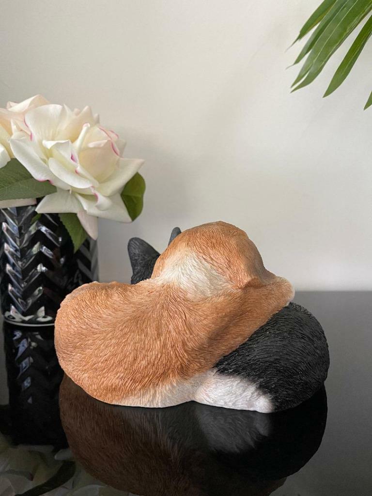 Cute Sleeping Cat & Dog Snuggling Besties Figurine Home Decor Ornament Statue