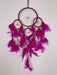 Dream Catcher with Feather Caught Dreams Wall Hanging Ornament Home Decor 52cm