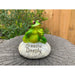 Yoga Frogs Ornaments with Word Frog Statue Figurines Funny Garden Home Sculpture