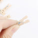 600x Mini Wooden Pegs Craft Clothespins Natural Wood Photo Clips Bulk 2.5cm